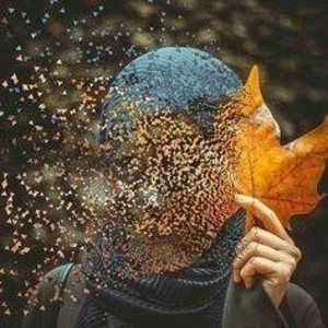 Meet your Posher, Feyza